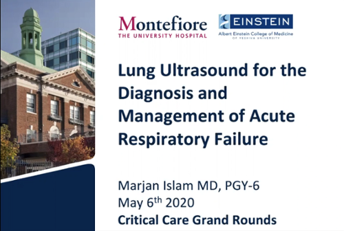 Lung Ultrasound for the Diagnosis and Management of Acute Respiratory Failure