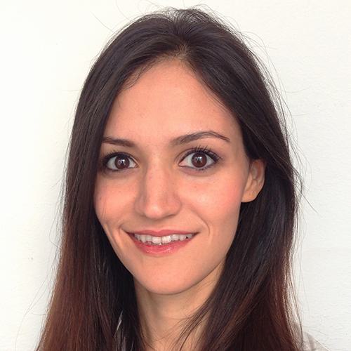 Narges Alipanah-Lechner, Database Program