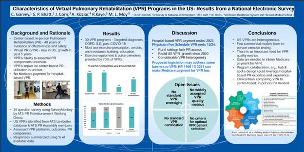 Characteristics of Virtual Pulmonary Rehabilitation Programs in the US